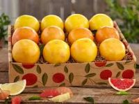 Fresh Grapefruits