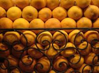 Navel Oranges (Seedless orange)