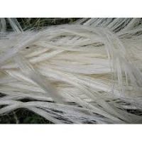 100% UG and SSUG Natural raw sisal fiber / Sisal fibre