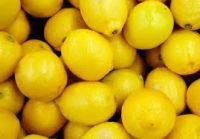 Hot sale cheap price fresh eureka lemons From South Africa