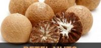 Dried Betel Nut High Quality Big size