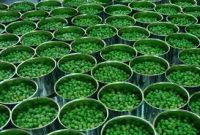 Canned Green Peas