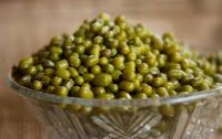 Green gram mung beans