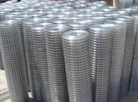 Welded Wall Plaster Wire Mesh, Galvanized Welded Stucco Mesh