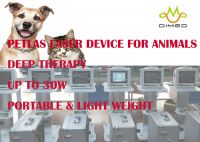Veterinary Laser Therapy device- PETLAS- provide accelerated pain relief and healing