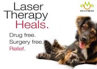 Laser therapy for treating post surgical pain and many acute and chronic conditions