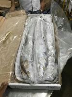 Frozen Ribbonfish 2 containers loads A and B Grades