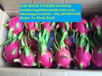 FRESH DRAGON FRUIT +84 387687068 WHATSAPP/WECHAT