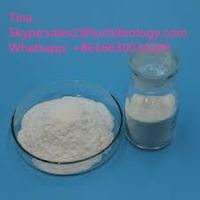 Chitosan CAS No. 9012-76-4 buy food additives Chitosan powder from