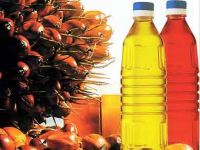 Cooking Oil