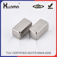 Customized Strong Permanent Neodymium NdFeB Rare Earth Magnet for Motors