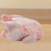 Halal Frozen Chicken / halal whole frozen chicken/ whole halal frozen chicken / Whole Frozen Chicken