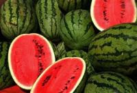 Fresh WaterMelon