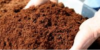 Coconut Shell Powder