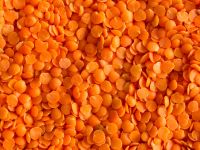 Red Whole Lentil