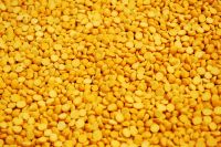 Yellow lentil