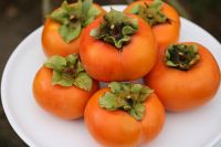 fresh persimmon fruits for sale