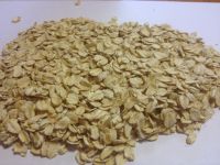 OAT FLAKES / hulled oats