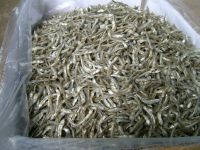 Dried anchovy fish