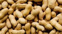 Pakistani Peanuts with shell