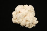 SELL COTTON COMBER NOIL