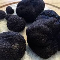 High Quality Fresh Black Truffle, Frozen Mushroom