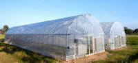 Low cost tropical agricultural greenhouse for sale