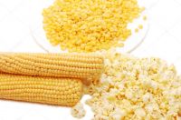 Dried Yellow Corn/ Popcorn/ White Corn  Maize for Human & Animals Consumption