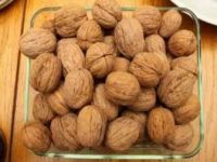 TOP Quality walnuts