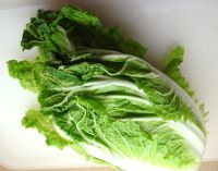 HIGH QUALITY FRESH CELERY CABBAGE ( NAPA CABBAGE) WITH BEST PRIC