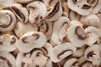 Dried/Canned/Fresh/Frozen Shiitake Mushroom