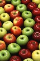 High quality new crop Fresh Apples Export Price