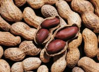 Peanut best quality origin Vietnam