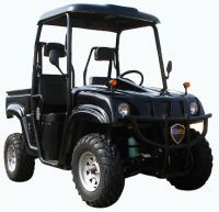 Sell 300cc utility vehicle