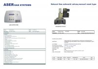 Sell natural gas dedector with solenoid valve, manuel reset type