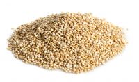 Premium Quality Quinoa For Sale