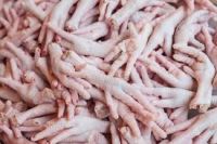 GRADE A FROZEN CHICKEN FEET AVAILABLE FOR SHIPMENT WORLDWIDE