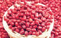 Top quality speckled light red kidney beans worldwide exporters fast delivery and best price