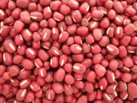 NEW CROP LIGHT RED KIDNEY BEANS GOOD PRICE