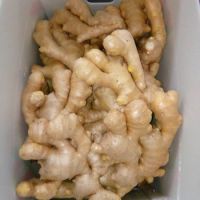 Wholesale organic fresh ginger price for sale at low pricing