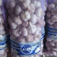 Fresh natural pure white Garlic for sale