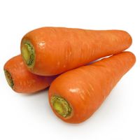 Premium fresh organic carrots for sale at low pricing
