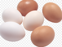 Fresh Brown and White Shell Chicken Eggs