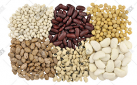 Black Beans / Speckled Kidney Beans / Red Beans / Pigeon Peas
