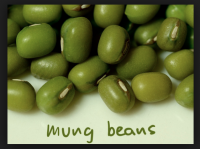 Fresh Green Mung Beans , Dried Mung Beans  , Frozen Green Mung Beans