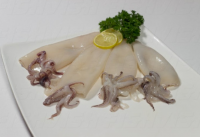 Frozen Squid