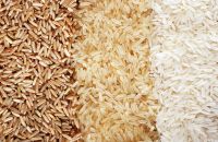 Long Grain , Basmati, Black, Broken, Brown, Jasmine, Organic Rice Available