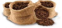 High quality robusta and arabica coffee beans