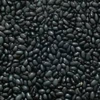 Black Beans