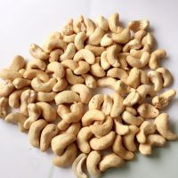 Wholesale for premium quality w240 w320 cashew nuts/cashew kernels